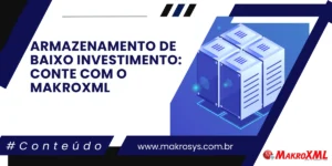 Armazenamento de Baixo Investimento: Conte com o MakroXML